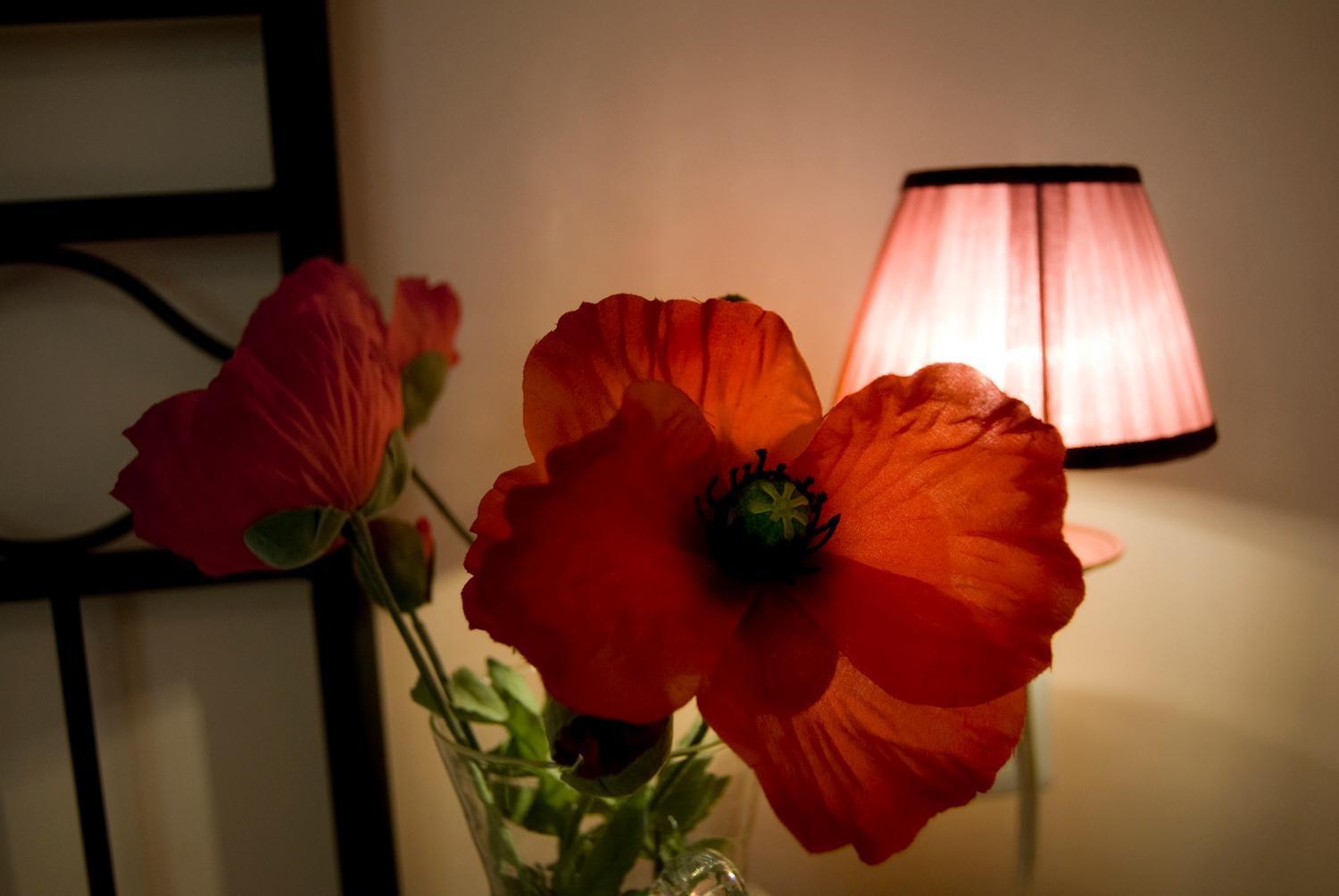 Agriturismo Il Falco SantʼElpidio a Mare エクステリア 写真